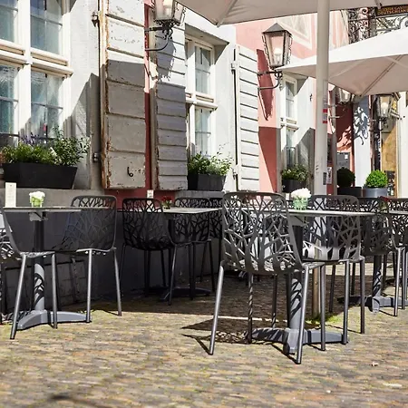 Zum Roten Baeren 3* Фрайбург