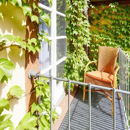 Zum Roten Bären Hotel Freiburg im Breisgau