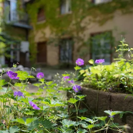 Zum Roten Bären 3* Freiburg im Breisgau