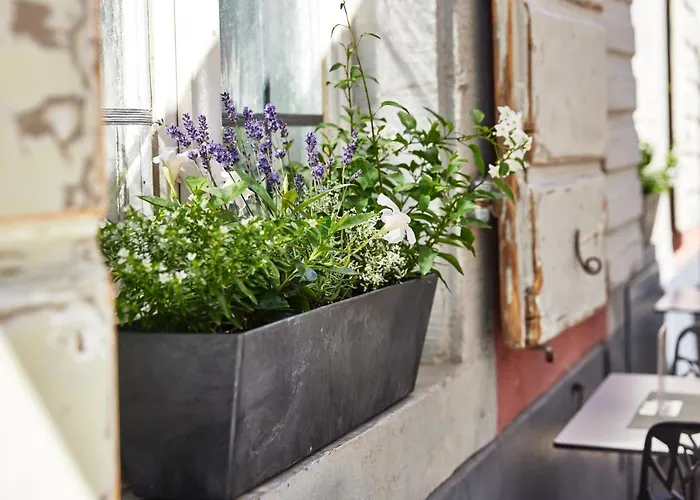 Zum Roten Baeren 3* Φράιμπουργκ