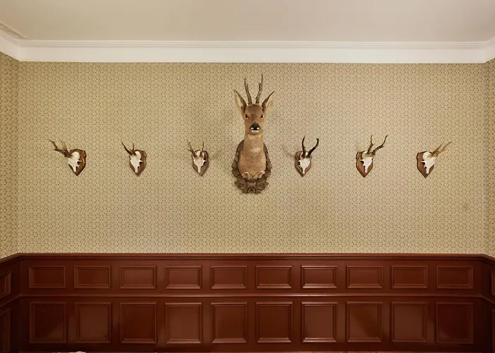 Zum Roten Baeren Ξενοδοχείο 3*