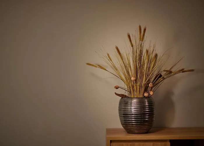 Ξενοδοχείο Zum Roten Baeren Φράιμπουργκ