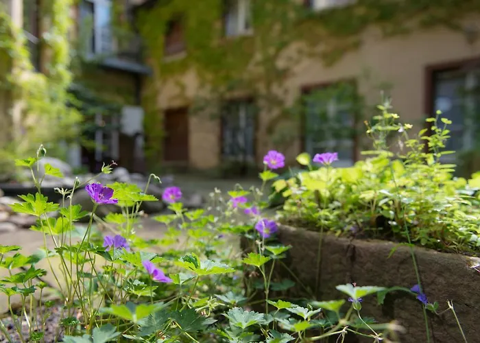 Zum Roten Baeren 3* Freiburg im Breisgau